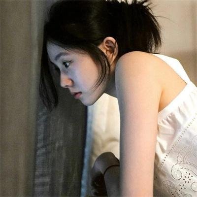 屋顶上的猫